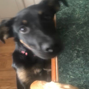 Katy Night (Freestyle) (feat. P4RKW4YZ, yung.nic, Ace Floe, Dreyk0 & SmokEy clOud)