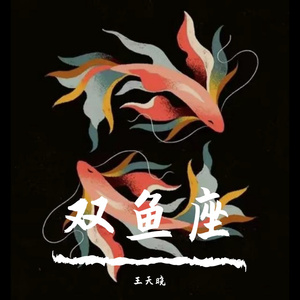 我不是你的宋冬野