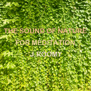 자연의 소리 강 벌레들 (백색소음 자연 수면 요가)