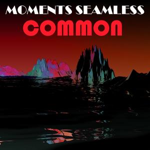 Moments Seamless Common