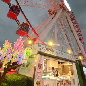 怪我这张不出众的脸