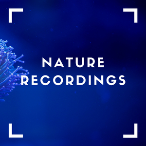 Silky Under Water Waves