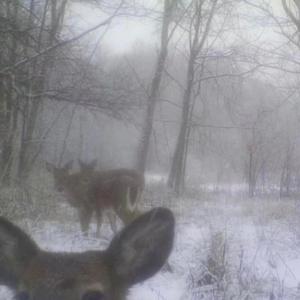 i think im going insane