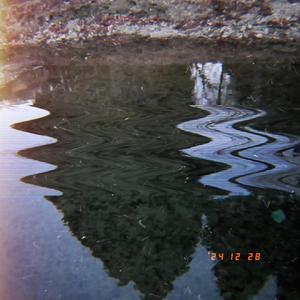 Rain Forest (feat. 豊海空風) (Repainted)