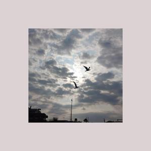 BEST I CAN (feat. AKdove)