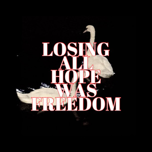 We Are the Music Listeners