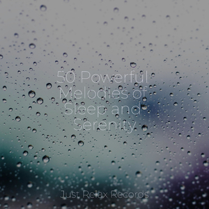 Eternal Echoes of Yesterday