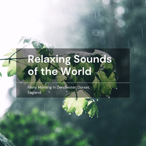 Rainy Morning in Dorchester, Dorset, England - Rain, White Noise, Sleep, Nature Ambience, Pt. 26