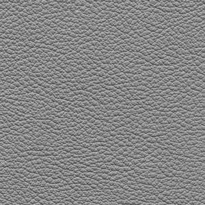 《陈小姐的话》