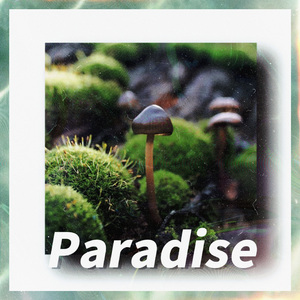 Paradise
