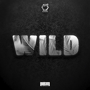 Wild (Original Mix)