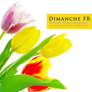 Vivaldi: Concerto For 2 Violins In G Minor RV.517 - III. Allegro Molto