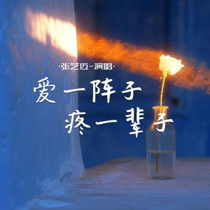 爱一阵子疼一辈子 (Live合唱版)