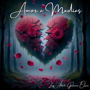Amor a Medias
