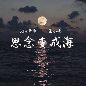 思念变成海
