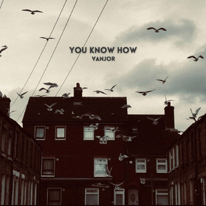 It's Cold Here (feat. Vanjor)