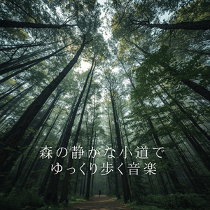 木漏れ日の中を進む