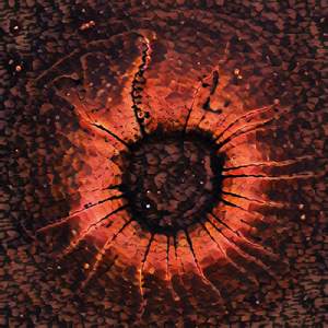 Buraco Sem Fundo (Um País)