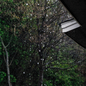 Serenity Of The Seas