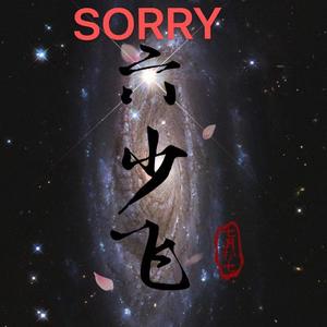 sorry（法外狂徒张三版）