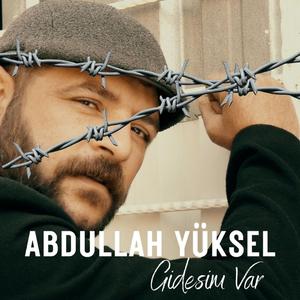 Gidesim Var