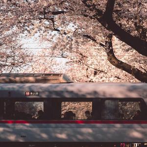 那天我去了蚌埠学院，你怕是忘了那天的风有多大，把你这个胖子吹到了南极砸碎了冰川沉入海底亲吻了太阳