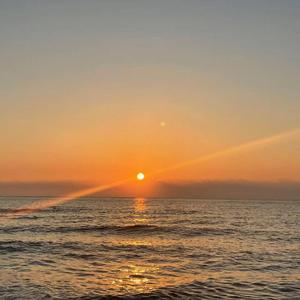 曾经我也想过一了百了(cover中岛美嘉）