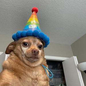 Cooler Than Me (Speed up)