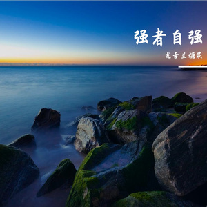 梦里花开的季节