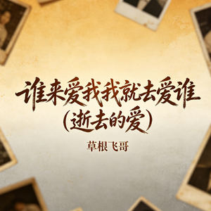 谁来爱我我就去爱谁（逝去的爱）