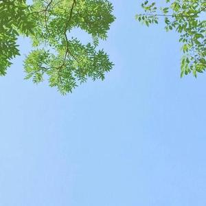 我在草原上信号不太好