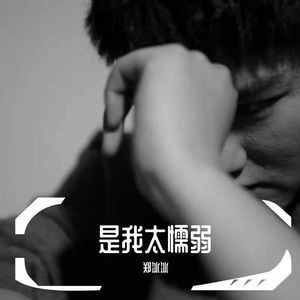 是我太懦弱 (伴奏)