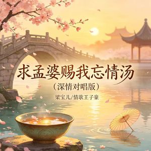 求孟婆赐我忘情汤(深情对唱版)