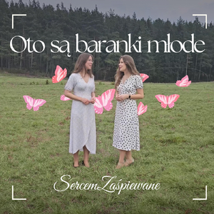 Oto są Baranki młode