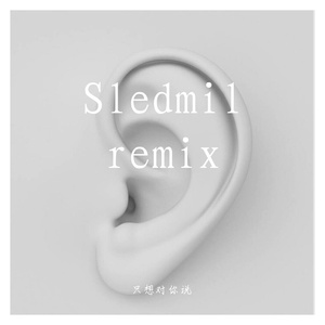 掌嘴-只想对你说（Sledmil remix）