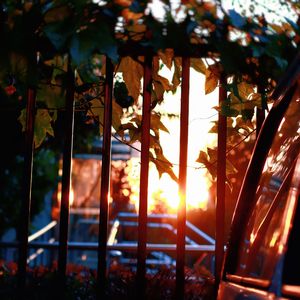 粉尘状的生活（The Life Like Scorching Hot）