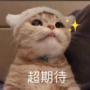 ring ring ring（翻自 抖音热门翻唱）