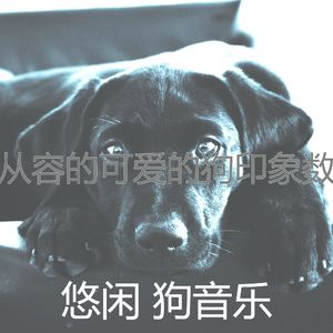 温和训练你的狗梦想