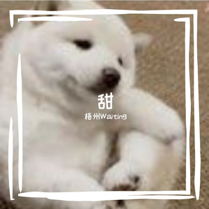 宝贝 Prod.by Trai5or
