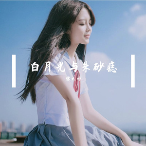 白月光与朱砂痣 伴奏