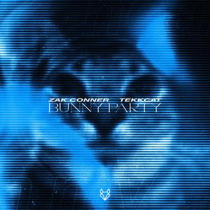 Bunny Party (HardTekk)