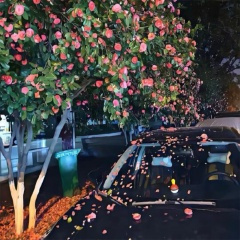 承诺只有听的人记得