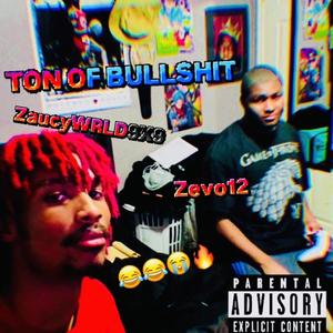 Ton Of Bullshit (feat. Zevo12)