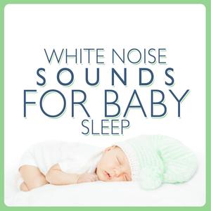 White Noise: A Kettle and Microwave