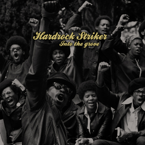 Hardrock Striker - Acid Circus (Jason Grove Live Vocal Mix)