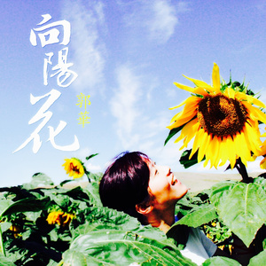向阳花 (伴奏)