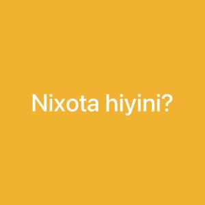 Nixota hiyini? (feat. Dokodela Mj & Reasonator)