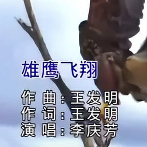 雄鹰飞翔 (伴奏)