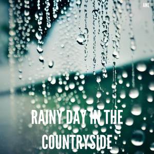 Rainy Day in the Countryside 1