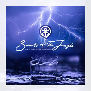 Sounds Of The Jungle Rain
